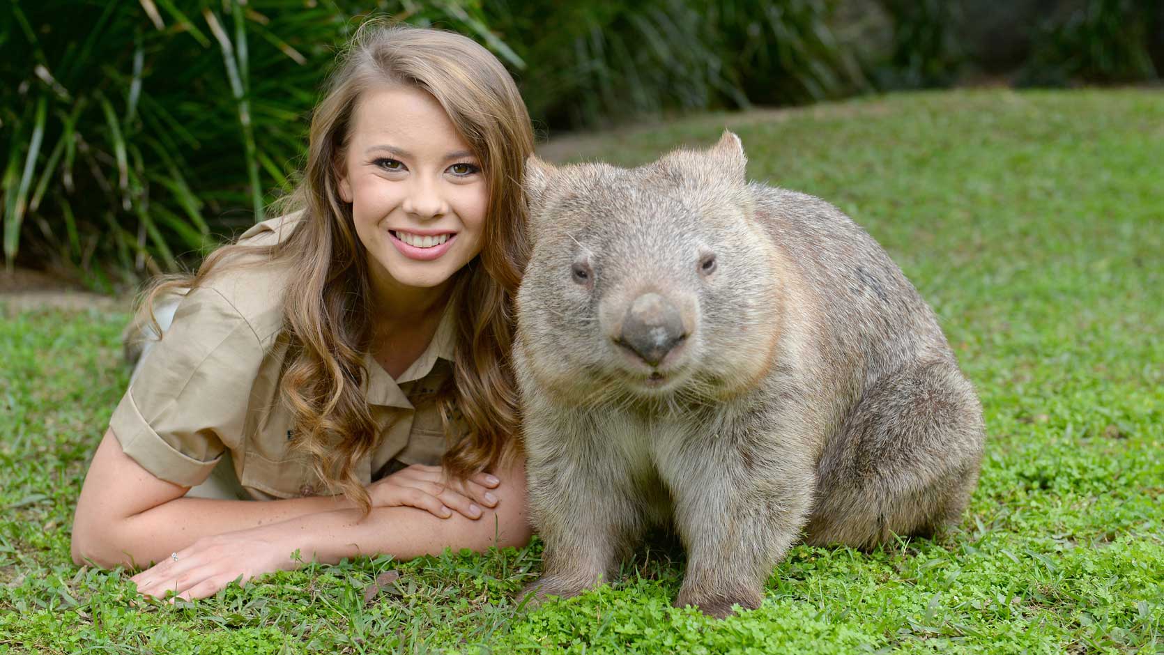 Pin on Australian Animals Wombat, Animals beautiful, Cute animals