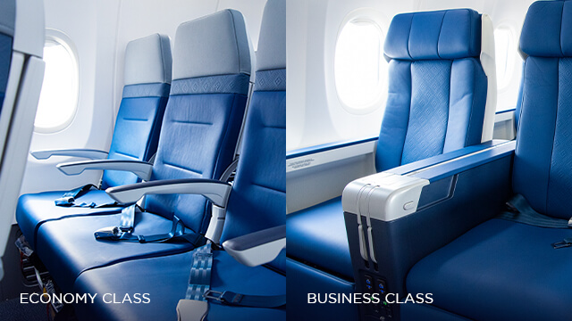 Why Are Most Airplane Seats Blue?